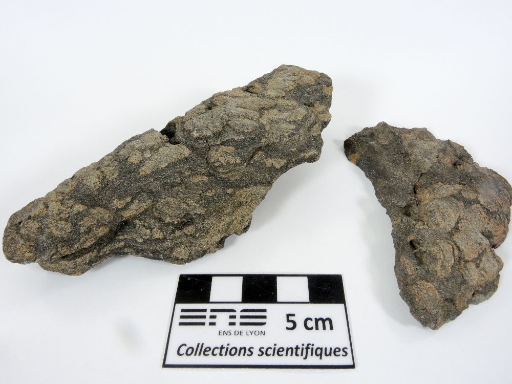 Micaschiste à andalousite Métapélite à porphyroblastes d’andalousite Pyrénées Cap de Creus